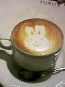 041107_2201~01.jpg