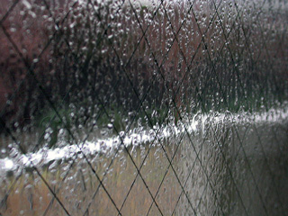 rain.jpg